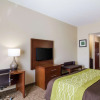 Отель Comfort Inn Blackshear Hwy 84, фото 25