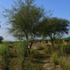 Отель Bagh Serai, фото 44