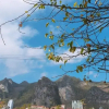 Отель Plum Homestay Hostel, фото 24