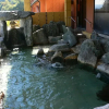 Отель Yuttarino-Sato Inaka, фото 37