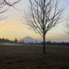 Отель Lodges on Vashon, фото 24