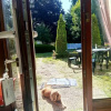Отель Studio in Bergerac, With Pool Access, Enclosed Garden and Wifi - 800 m, фото 6