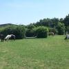 Отель Agriturismo La Dondina, фото 9