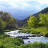 Отель Cabañas Rio Jujuy, фото 10