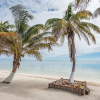 Отель Tranquility Bay Resort, фото 15