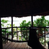 Отель Ten103 Treehouse Bay, фото 10