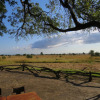 Отель Mikumi Wildlife Camp, фото 10