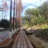 Отель Xinrun Inn, фото 1