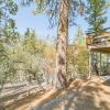 Отель Lazy Bear Lodge - 3br/2ba/relaxing Forest Views/smart Tv/wifi/fenced Yard 3 Bedroom Home, фото 17