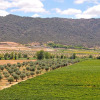 Отель Holiday Home on Estate With Vineyards, Olive Groves and Swimming Pool, фото 1