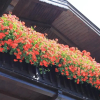 Отель Haus Straif, фото 13