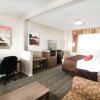 Отель Best Western Plus Sandusky Hotel & Suites, фото 4