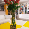 Отель Adia Hotel Cunit Playa, фото 2