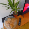 Отель Villa Mimosa 4, фото 14