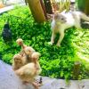 Отель Lazy Crab Hostel, фото 44