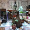 Отель Riad Bab Berdaine, фото 2