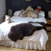 Отель Gleann an Ronnaich Bed & Breakfast, фото 5