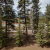 Отель Newly Renovated Grizzly Lodge, Spacious 3BR 2BA with open pool, hot tub, фото 18