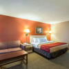 Отель Econo Lodge, фото 23