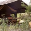 Отель Lemala Manyara Camp, фото 13