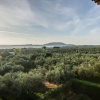 Отель Seaview Flat In An Olive Grove By The Beach, фото 12