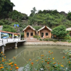 Отель Tamcoc Valley Homestay, фото 32