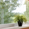 Отель Wooden Tree Trunk Bungalow at Fish Pond in Hoge Hexel, Optional with Hot Tub, фото 16