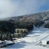 Отель Eco Villa Mt Beauty Near Falls Creek & Bright, фото 36