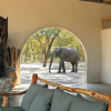Отель Gwango Elephant Lodge, фото 12