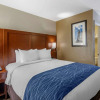 Отель Comfort Inn Nashville - Opryland Area, фото 4