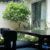 Отель Jixi Longchuan Old House Hostel, фото 3