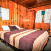 Отель Little Pines-102 by Big Bear Vacations, фото 11