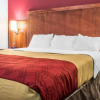 Отель Econo Lodge Rochester, фото 18