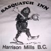 Отель Sasquatch Inn, фото 3