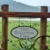 Отель Old Balgowan Farm Cottage, фото 22