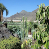 Отель Finca Los Llanitos I, фото 14