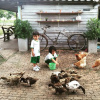 Отель Wanlapa Farmstay, фото 21
