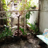 Отель Big Mango Tree, фото 11