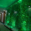 Отель Shengfeng Forrest Holiday Hotel, фото 16