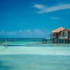 Отель Palafitos Overwater Bungalows, Catamarán, Cenote & More Inclusive, фото 38