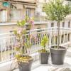 Отель Athens Penthouse Paradise Apartment в Афинах