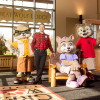 Отель Great Wolf Lodge Niagara Falls, фото 31
