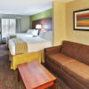 Отель Holiday Inn Express Hotel & Suites Frankenmuth, an IHG Hotel, фото 3