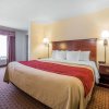 Отель Comfort Inn & Suites Rock Springs - Green River, фото 3