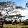 Отель Serengeti Savannah Camps, фото 22