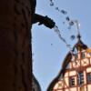 Отель Fewo-Bernkastel-Kues, фото 15