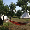 Отель Orange Tree Garden - Glamping Haven, фото 4