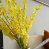 Отель Jtour Inn Baise High-Speed Railway Station, фото 4