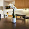 Отель U Suites on Trieste Way, фото 16