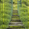 Отель Finca Hotel Bosques del Samán Alcalá, фото 41